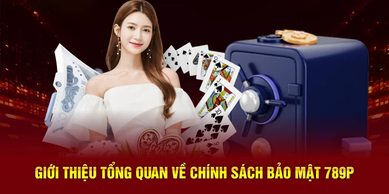 Giới thiệu tổng quan về Chính sách bảo mật 789P